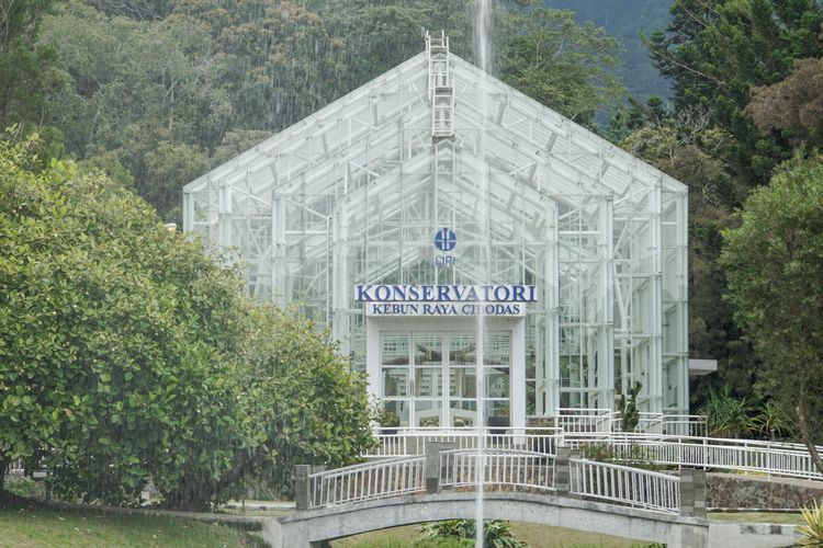 kebun raya cibodas, BRIN, disbudpar cianjur, tiket kebun raya cibodas, Masuk Kebun Raya Cibodas Masih Gratis, Disbudpar Cianjur Tunggu BRIN, Bagaimana Dampak Kebijakan Gratis terhadap Kunjungan Wisatawan?, Mengapa Dulu Dikeluhkan Wisatawan?, Kapan Jam Operasional dan Bagaimana Akses Menuju Lokasi?, Apa Saja Daya Tarik Kebun Raya Cibodas?