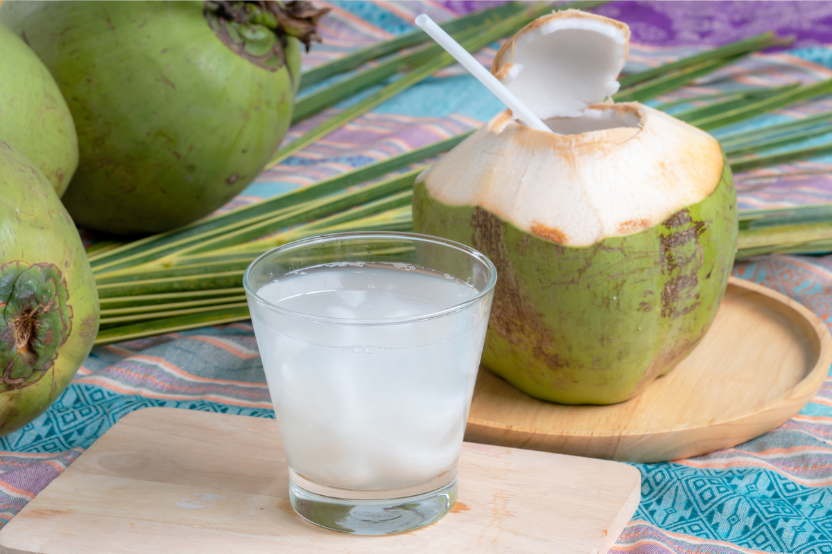 kelapa muda, Kelapa Muda yang Airnya Banyak, Manis, dan Dagingnya Tebal, Ini Cirinya, 1. Perhatikan warna kulit kelapa, 2. Pilih nentuk kelapa yang bulat, 3. Cek lingkaran di atas batok, 4. Dengarkan suara air saat digoyang, 5. Periksa kondisi cangkang, 6. Warna dan bentuk daging kelapa