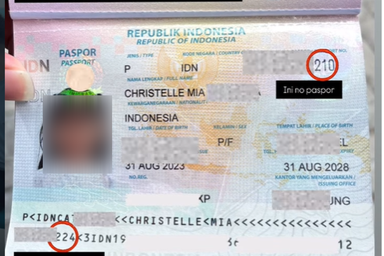 imigrasi Singapura, Anak WNI Tertahan di Imigrasi Singapura akibat Nomor Paspor Berbeda