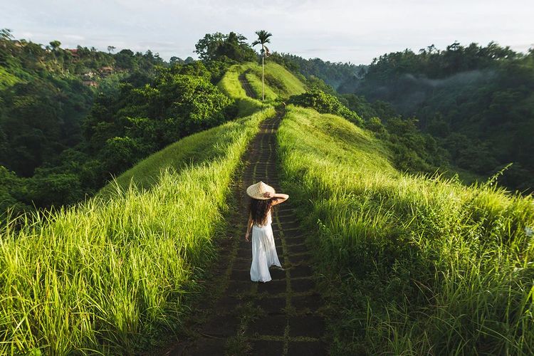 sawah, Ubud, 6 Jalur Mendaki dan Jalan Santai dengan Pemandangan Sawah di Kawasan Ubud