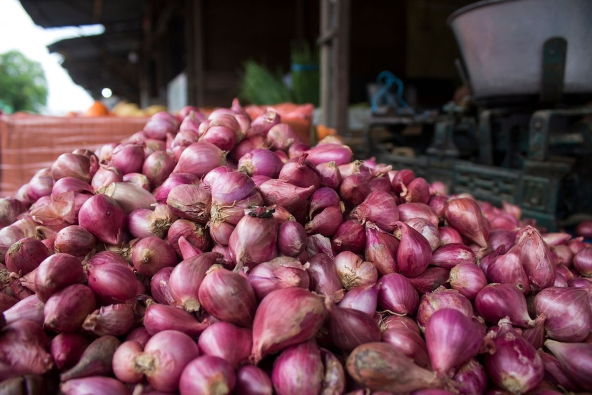 Manfaat bawang merah, manfaat bawang merah, manfaat bawang merah untuk kesehatan, manfaat bawang merah untuk kesehatan tubuh manusia, manfaat bawang merah mentah dimakan, bawang merah besar, manfaat makan bawang merah, manfaat bawang merah untuk obat, 7 Manfaat Bawang Merah untuk Kesehatan, Bisa Hilangkan Jerawat, 1. Menangani kolesterol, 2. Mengurangi risiko penyakit jantung, 3. Mengatasi diabetes, 4. Mencegah penyumbatan sel-sel pembuluh darah, 5. Memperkuat tulang dan persendian, 6. Antiperadangan, 7. Menghilangkan jerawat