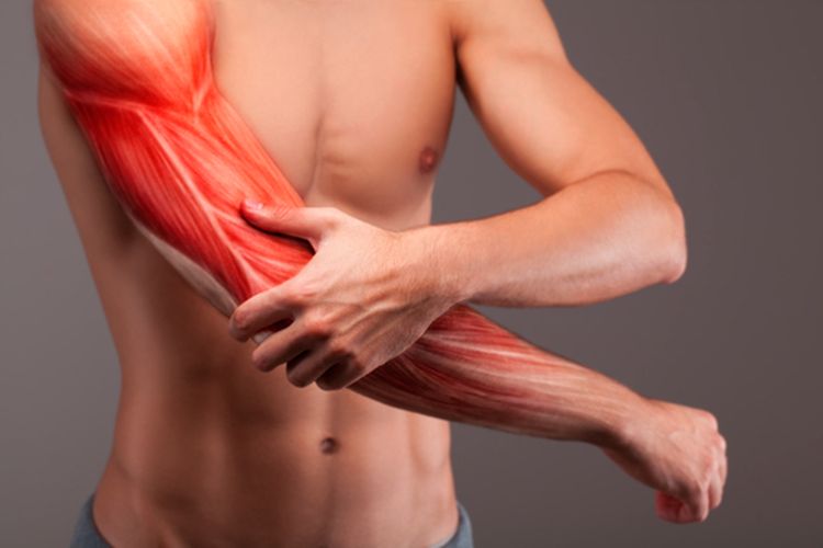 protein, 6 Mitos Protein Ini Perlu Berhenti Kamu Percayai, Menurut Ahli Gizi, 1. Protein hanya penting untuk membangun otot, 2. Diet tinggi protein merusak ginjal, 3. Hanya makanan hewani yang mengandung protein lengkap, 4. Semakin banyak makan protein, makin besar otot, 5. Makan lebih banyak protein akan membuat tubuh lebih ramping, 6. Protein powder wajib untuk memenuhi kebutuhan protein