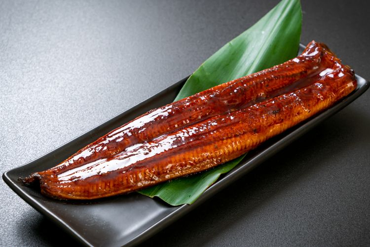jepang, unagi, belut Jepang, Jepang Akan Jual Unagi Hasil Penangkaran, Harganya Rp 900.000