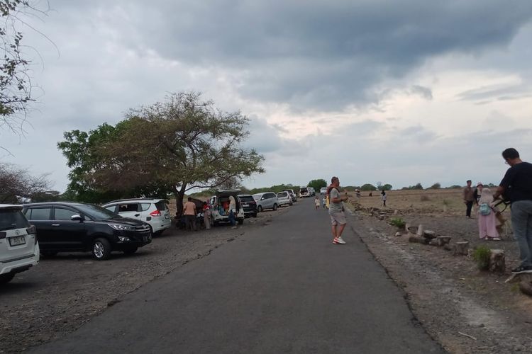 Taman Nasional Baluran, Kecamatan Ijen, Wisata Bondowoso, Wisata Situbondo, wisata baluran, taman nasional baluran ada di provinsi apa, Wisata Konservasi, Pemerintah Kabupaten Situbondo Ingin Ada Kecamatan Baluran