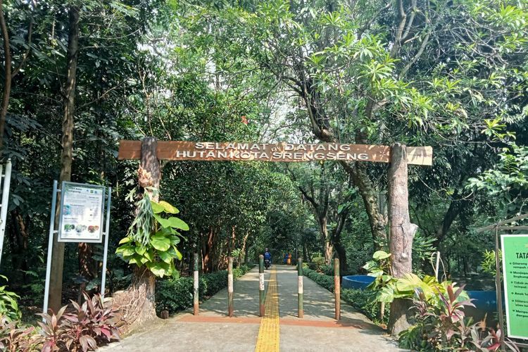 Hutan Kota Srengseng, Hutan Kota di Jakarta Barat, tips ke hutan kota srengseng, hutan kota srengseng jakarta barat, hutan kota srengseng tutup jam berapa, 4 Tips Berkunjung ke Hutan Kota Srengseng, Hindari Pakaian Pendek, 1. Bawa obat antinyamuk, 2. Bawa bekal, 3. Naik ojek online , 4. Hindari pakaian pendek