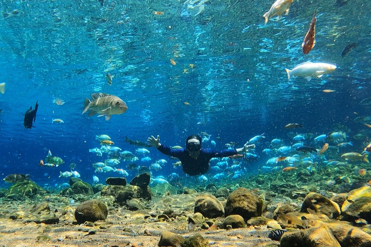 Umbul Ponggok, Klaten, Wisatawan Tenggalam di Umbul Ponggok Klaten saat Tunggu Foto Bawah Air