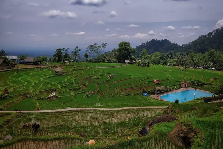Pesona Desa Wisata Melung Banyumas, Juara 1 Desa Wisata Nusantara 2025