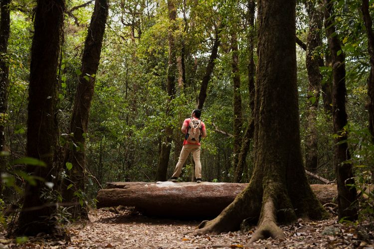 Hiking, Manfaat hiking, Hiking Ternyata Bagus untuk Kesehatan Mental, Ini Penjelasannya, Kombinasi sempurna: Olahraga dan alam, Mindfulness secara alami, Membangun koneksi sosial, Cara memulai hiking untuk kesehatan mental