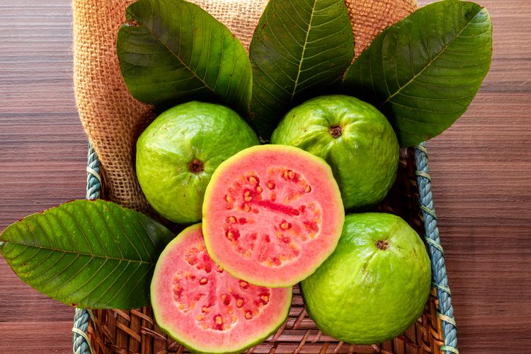jambu biji, manfaat jambu biji, manfaat jambu biji untuk kesehatan, Lebaran, Manfaat Daun dan Jambu Biji untuk Kesehatan Saat Lebaran, Manfaat jambu biji dan daunnya untuk kesehatan, Kandungan gizi jambu biji, Risiko konsumsi jambu biji, Tips konsumsi jambu biji