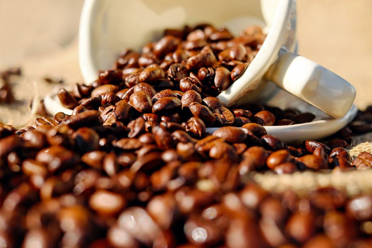 kopi, biji kopi, Kopi, cara menyimpan biji kopi, Cara Terbaik Menyimpan Biji Kopi agar Tetap Segar, Menurut Ahli Kopi, Tempat terbaik menyimpan biji kopi, Bagaimana dengan kopi bubuk?, Jangan simpan kopi di kulkas atau freezer?, Apakah kopi bisa kedaluwarsa?