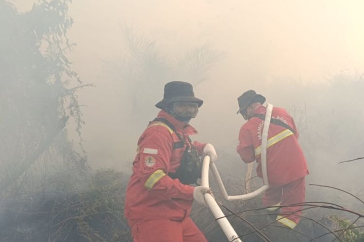 Kemenhut, Manggala Agni, Kebakaran Hutan di Riau Meluas, Petugas Temukan Harimau Sumatera di Lokasi Pemadaman