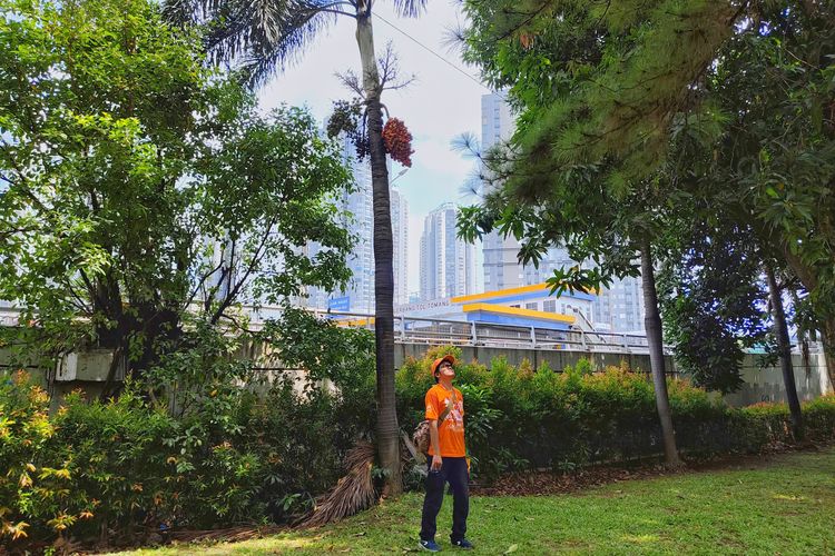 taman di Jakarta Barat, taman cattleya, taman cattleya jakarta barat, taman cattleya buka jam berapa, wisata terbuka hijau di jakarta barat, Menyambangi Taman Cattleya, Wisata Terbuka Hijau di Jakarta Barat