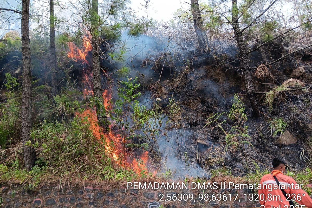 Kebakaran hutan, Sumatera Utara, Samosir, kebakaran hutan, Kabupaten Samosir, Kebakaran Lahan 100 Hektare di Samosir Meluas, Dipicu Angin Kencang dan Ilalang Kering