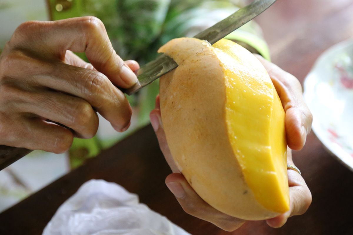 kulit mangga, kulit mangga bisa dimakan, kulit mangga apakah boleh dimakan, Biasanya Dibuang, Kulit Mangga Ternyata Bisa Dimakan