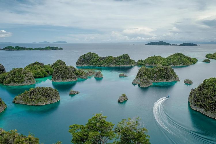 Pulau Gag, Raja Ampat, tambang nikel, Tambang Nikel, Pulau Gag Raja Ampat, Dari Hijau ke Coklat, Citra Satelit Ungkap Perubahan Pulau Gag akibat Tambang Nikel Raja Ampat
