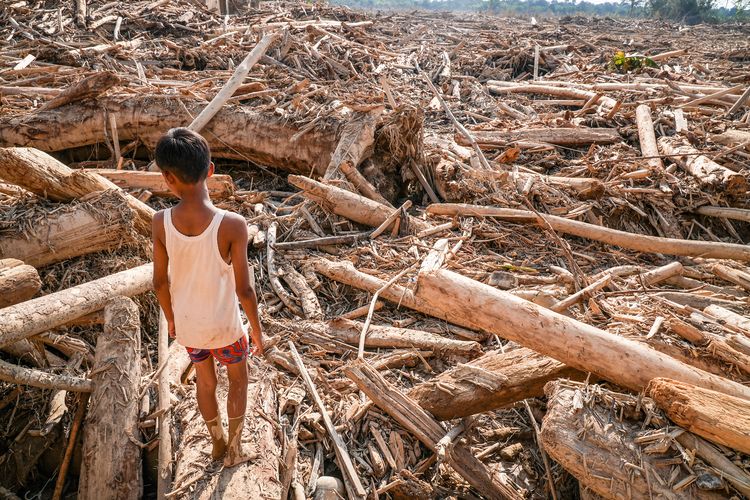 banjir aceh, Berita Foto, banjir Aceh Tamiang, banjir aceh tamiang hari ini, banjir aceh 2025, kayu gelondongan di banjir sumatera, berita foto banjir sumatera, kayu gelondongan sumatera, kayu gelondongan menumpuk, BERITA FOTO: Banjir Bandang Sisakan Tumpukan Kayu yang Kepung Desa-desa di Aceh Tamiang, Apa Penyebab Warga Terisolasi Setelah Banjir Bandang?, Wilayah Mana Saja yang Masih Sulit Dijangkau?, Bagaimana Jalur Bantuan Bisa Masuk ke Wilayah Terdampak?, Apakah Bantuan Sudah Tersalurkan ke Pengungsi?