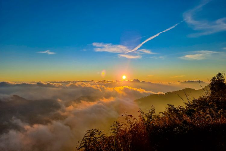 Gunung Prau, pendakian Gunung Prau, Pendakian Gunung Prau, pendakian gunung prau, Apakah Pendakian Gunung Prau Tahun 2025 Sudah Dibuka?
