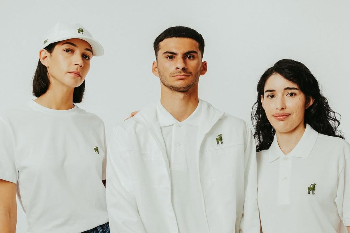 Novak Djokovic, lacoste, lacoste ganti logo, logo lacoste, logo goat lacoste, Lacoste Ganti Logo Jadi Kambing Setelah 92 Eksis dengan Ikon Buaya, Ini Maknanya, Logo baru, semangat lama, Koleksi edisi terbatas, Fans jadi bagian cerita, Respon publik