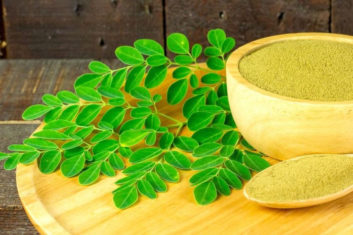 Daun kelor, daun kelor, Daun Kelor, mengolah daun kelor, merebus daun kelor, Rebus daun kelor, Merebus daun kelor, Mengolah daun kelor, daun kelor untuk menurunkan kolesterol, rebus daun kelor, Cara Mengolah Daun Kelor untuk Penurun Kolesterol, Rebus dengan Bahan Ini!, Tambahkan madu di air rebusan, Membuat teh herbal daun kelor, Merebus daun kelor bersama jahe dan serai, Berapa banyak konsumsi daun kelor per hari?