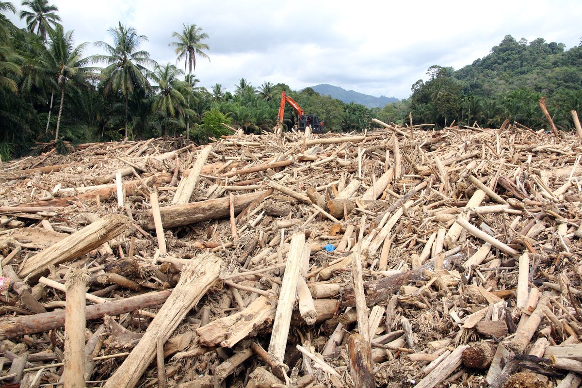 Institut Pertanian Bogor, Banjir Sumatera Utara, banjir sumatera, banjir bandang sumatera, Tanah Longsor Sumatera, banjir sumatera barat hari ini, banjir sumatera barat 2025, Analisis Ahli IPB: Gelondongan Kayu di Banjir Sumatera Diduga Kuat Akibat Pembalakan Liar