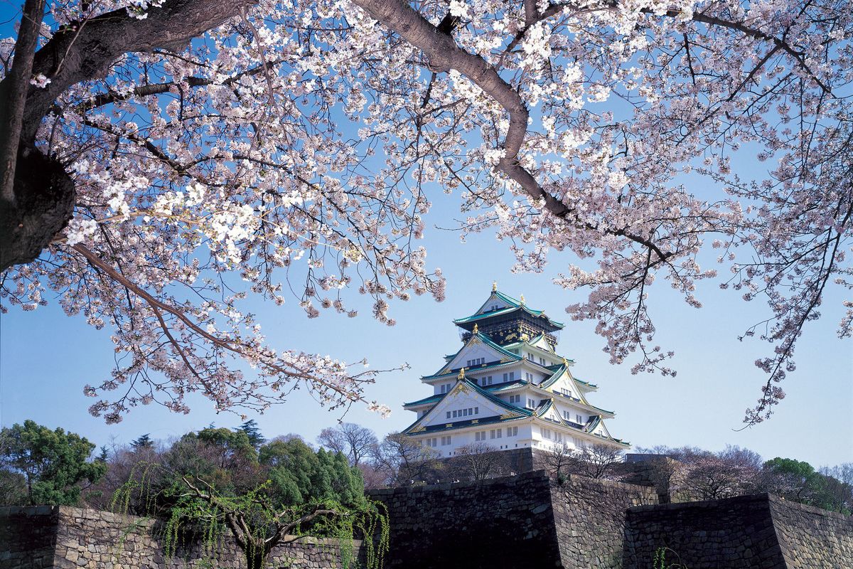 Osaka Castle, osaka castle, alasan osaka castle popular, tempat wisata di jepang osaka, tempat wisata di jepang yang wajib dikunjungi, wisata di jepang yang lagi hits, 3 Alasan Osaka Castle Jadi Destinasi Wisata Popular di Jepang