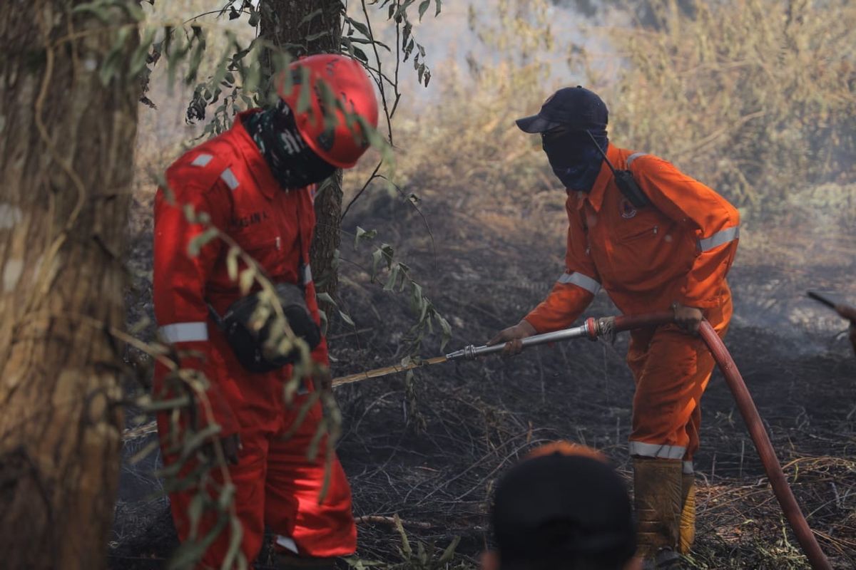 BNPB, karhutla, Karhutla Hanguskan 14,3 Hektare Lahan Mineral di Kalbar, BPBD Lakukan Pemadaman