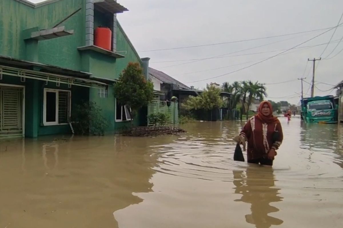 Banjir Cirebon Tak Kunjung Surut, Gangguan Kesehatan Mulai Menghantui Warga, Mengapa Keluhan Gatal-gatal Mendominasi?, Apa Penyebab Penyakit Kulit Muncul Saat Banjir?, Mengapa Kasus Tekanan Darah Tinggi Ikut Meningkat?, Bagaimana Dampak Banjir terhadap Aktivitas Warga?, Seberapa Luas Dampak Banjir di Kabupaten Cirebon?
