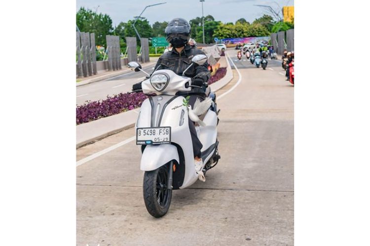 skutik, Skutik, harga skutik, bagasi motor, skutik murah, 6 Skutik di Bawah Rp 30 Juta dengan Bagasi Besar, 1. Yamaha Freego – Bagasi 25 Liter (Harga Rp 22,1–23,9 Juta), 2. Yamaha Grand Filano Hybrid – Bagasi 27 Liter (Harga Rp 27,9–28,4 Juta), 3. Honda Stylo 160 – Bagasi 16,5 Liter (Harga Rp 29,17 Juta), 4. Suzuki Address – Bagasi 20,6 Liter (Harga Rp 21,4 Juta), 5. Suzuki Access 125 – Bagasi 21,8 Liter (Harga Rp 25,5 Juta), 6. TVS Callisto 125 – Bagasi 21 Liter (Harga Rp 22,4 Juta)