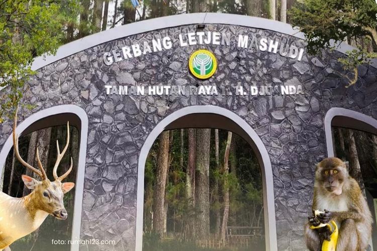 Bandung, Long Weekend Imlek 2026, Ini 7 Wisata Ramah Keluarga di Bandung, 1. Lembang Park &amp; Zoo, 2. Taman Hutan Raya Ir. H. Djuanda, 3. The Great Asia Africa Lembang, 4. The Lodge Maribaya, 5. Floating Market Lembang, 6. Glamping Lakeside Rancabali, 7. Orchid Forest Cikole