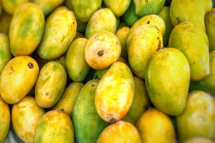 mangga matang, Mangga matang, cara memilih mangga matang, mangga manis, mangga bagus, ciri mangga bagus, Cara Memilih Mangga Matang dan Manis, Seperti Ini Ciri-cirinya, Cek warna kulit mangga, Cium aroma mangga, Cek permukaan mangga, Cek berat mangga, Bagaimana jika mendapatkan mangga yang belum matang?
