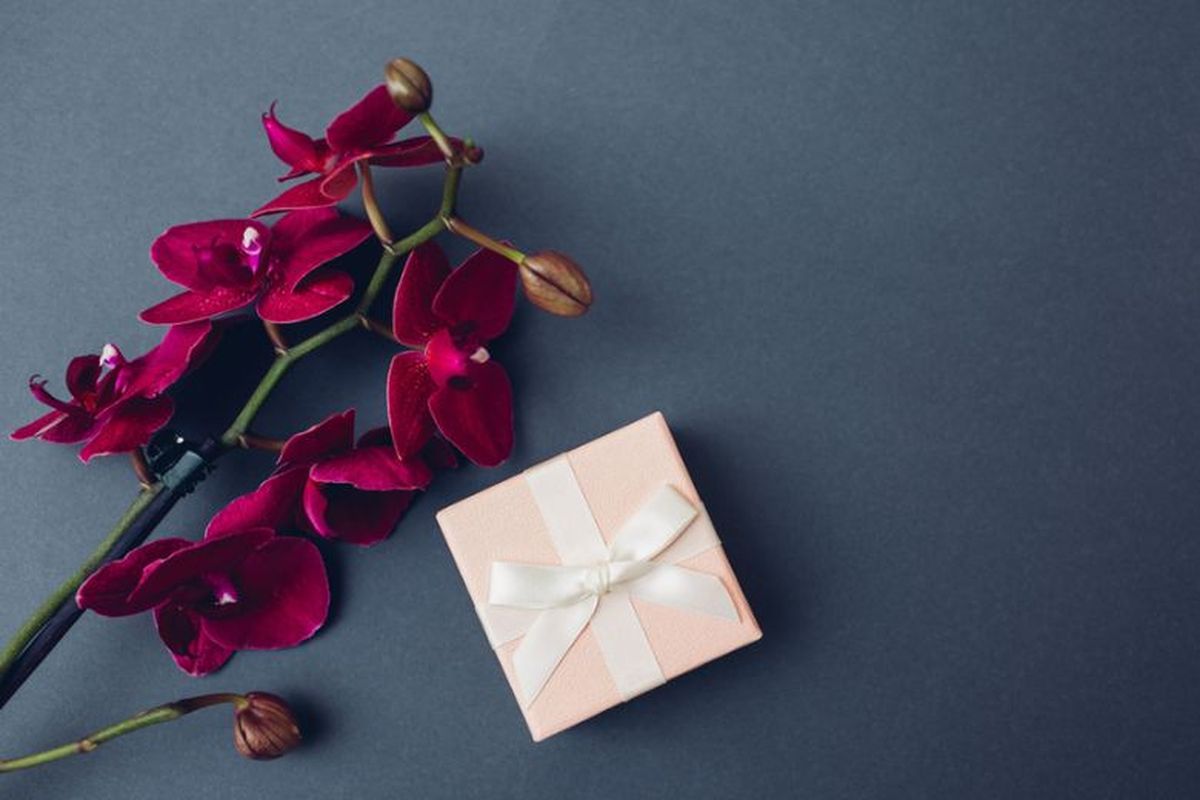 hadiah ulang tahun, Berlian, berlian, MONDIAL, I Said MONDIAL, Mondial, I Said Mondial, ide hadiah berlian, Bukan Sekadar Kado, Rayakan Ulang Tahun dengan Hadiah Personal, Simbolik, dan Elegan