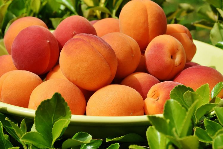Buah yang jangan disimpan di kulkas, buah yang jangan disimpan di kulkas, Jangan simpan buah ini di kulkas, Jangan Simpan Buah Ini di Kulkas Sebelum Matang, Bikin Tidak Enak, 1. Pisang, 2. Persik (Peach), Plum, dan Nektarin, 3. Alpukat, 4. Buah tropis (nanas, mangga, kiwi, pepaya), 5. Tomat