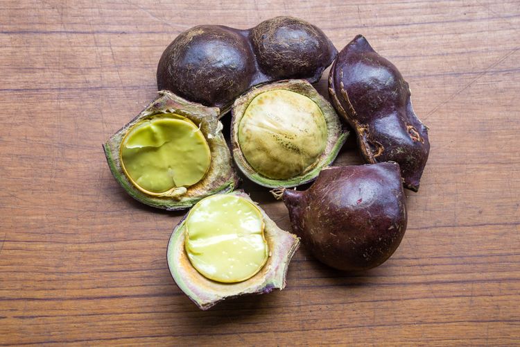 cara masak jengkol biar tidak bau, cara masak jengkol, cara masak jengkol tidak pahit, mengolah jengkol bebas bau, Cara Masak Jengkol Empuk Tanpa Pahit, Cukup Tambah 1 Bahan Ini, 1. Pilih Jengkol Tua, 2. Kupas Kulit Jengkol hingga Bersih, 3. Rendam dengan Air Cucian Beras, 4. Rebus Jengkol Cukup Lama, 5. Ganti Air Rebusan secara Berkala, 6. Memarkan Jengkol