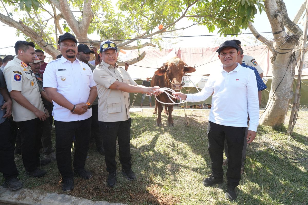 Presiden Prabowo, Aceh Utara, tradisi meugang Idul Fitri, bantuan sapi meugang, Presiden Prabowo Beri 1.123 Sapi Meugang untuk Warga Aceh Utara Jelang Lebaran 2026