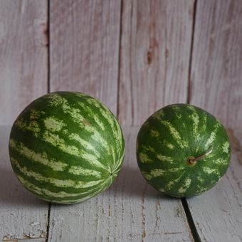semangka, menyimpan semangka, Cara Menyimpan Semangka agar Tetap Segar dan Manis Lebih Lama, 1. Pilih semangka yang tepat sejak awal, 2. Simpan di suhu ruangan jika belum dimakan, 3. Jangan terburu-buru memasukkan ke kulkas, 4. Simpan semangka yang sudah dipotong dengan rapat, 5. Menyimpan jus semangka, 6. Bisa dibekukan, tapi jangan utuh