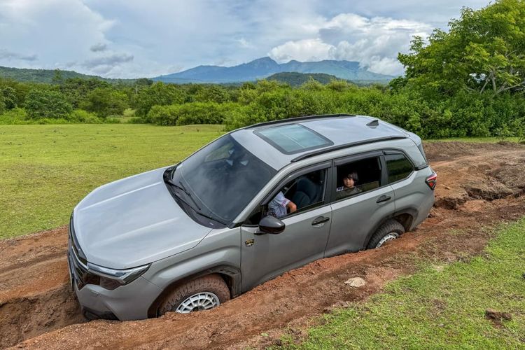 Subaru, biaya kepemilikan, Biaya Kepemilikan Subaru Forester: Pengalaman Langsung Pengguna
