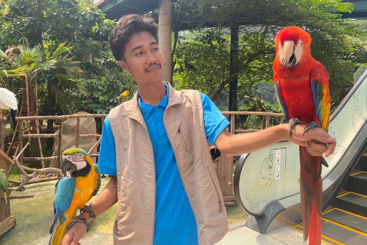 Ancol, libur Lebaran, Samudra Ancol, Libur Lebaran, Jangan Lewatkan Parade Satwa di Ancol