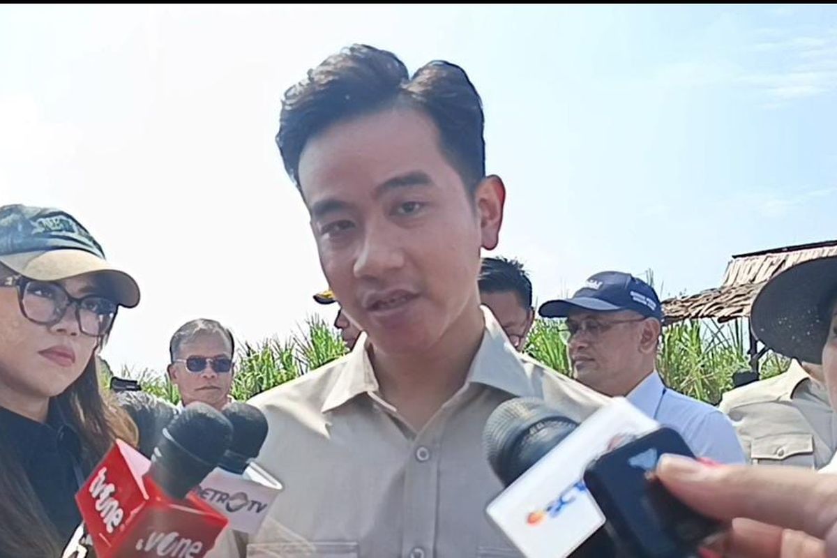 Gibran Rakabuming Raka, Gibran berkantor di Papua, gibran dapat tugas khusus, tugas khusus Gibran, tugas khusus Gibran di Papua, presiden tugasi Gibran di Papua, Gibran Rakabuming Raka, Tugas Khusus Prabowo, dan Penanganan Masalah Papua
