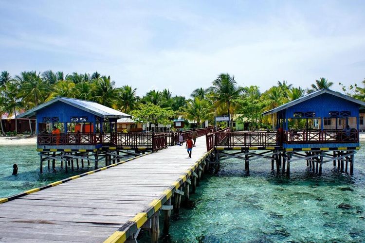 Indonesia Divetourism Company Association, Raja Ampat, nikel, Nikel, Wisata Raja Ampat, Dampak Tambang Nikel di Kawasan Raja Ampat, Ini Kata Asosiasi Pengusaha Wisata Selam