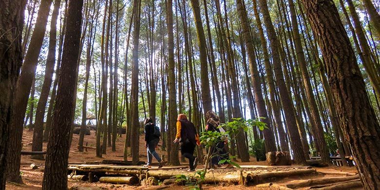10 Wisata Hits Yogyakarta Selain Malioboro, Jangan Lupa Mampir, 1. Obelix Hills, 2. HeHa Sky View, 3. Bunker Kaliadem, 4. Museum Ullen Sentalu, 5. Hutan Pinus Mangunan, 6. Ledok Sambi, 7. Puncak Segoro, 8. Studio Alam Gamplong, 9. Blue Lagoon, 10. Tebing Breksi