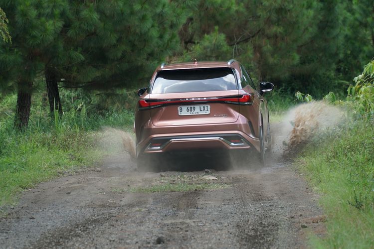 Lexus, hybrid, Lexus RX 450h+ Sang Chameleon