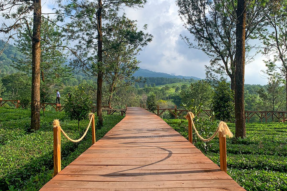 tempat wisata alam di Puncak Bogor, wisata puncak bogor, tempat wisata di puncak bogor, tempat wisata di puncak terbaru, tempat wisata alam di puncak bogor, restoran alam di puncak bogor, 10 Tempat Wisata di Puncak Bogor yang Buka Selama Libur Lebaran