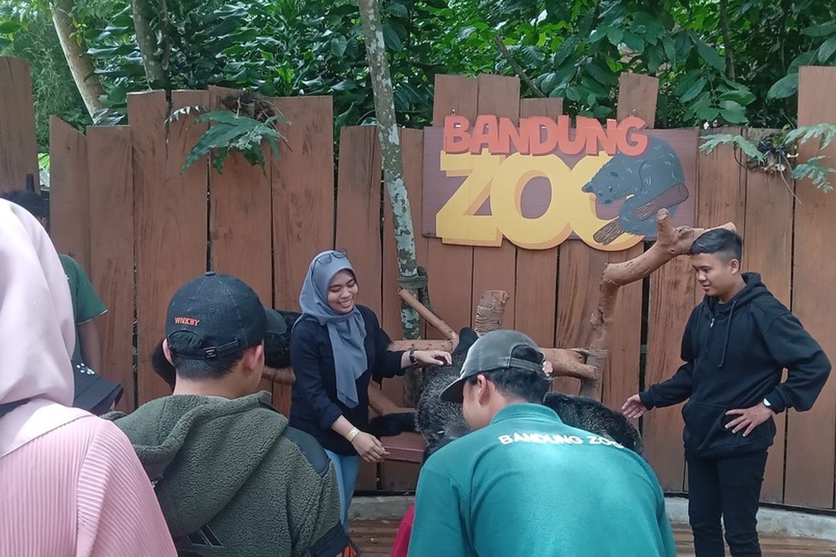 konflik bandung zoo, bandung zoo milik siapa, bandung zoo tiket, bandung zoo buka jam berapa, harga tiket bandung zoo 2025 terbaru, Bandung Zoo Buka Lagi Usai Konflik Internal, Simak Harga Tiketnya
