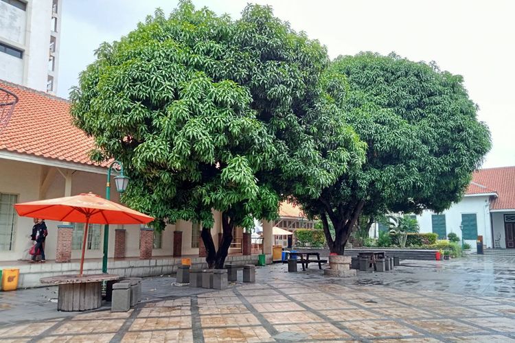 Kota Tua, POV Menjelajahi Kota Tua Jakarta, Lokasi Syuting Lisa BLACKPINK, Menyusuri Bangunan Bersejarah Kota Tua, Bersepeda Ontel Bernuansa Tempo Dulu, Menikmati Pertunjukan Seni Jalanan, Berburu Foto , Mengunjungi Museum-Museum Ikonik, Kota Tua sebagai Ruang Sejarah yang Aktif