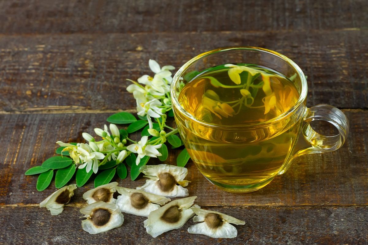 Manfaat Daun Kelor, manfaat daun kelor, efek samping konsumsi daun kelor, bolehkah konsumsi daun kelor setiap hari, tanaman herbal sehat, Konsumsi Daun Kelor Setiap Hari, Aman atau Malah Berisiko?, Bolehkah Mengonsumsi Daun Kelor Setiap Hari?, Aman dalam Jumlah Terbatas, Perhatikan Interaksi dengan Obat, Hindari Konsumsi Akar dan Kulit Batang, Daun Kelor Bukan Pengganti Obat, Manfaat Daun Kelor untuk Kesehatan