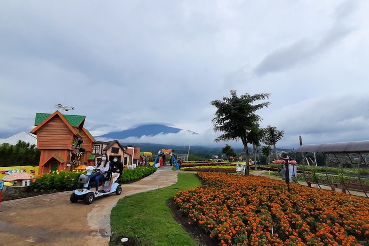 Baloga Batu, Wisata Batu Love Garden, wisata batu love garden, batu love garden baloga, baloga batu, daya tarik batu love garden, Serunya Main ke Batu Love Garden, Parade Bunga hingga Naik Unta