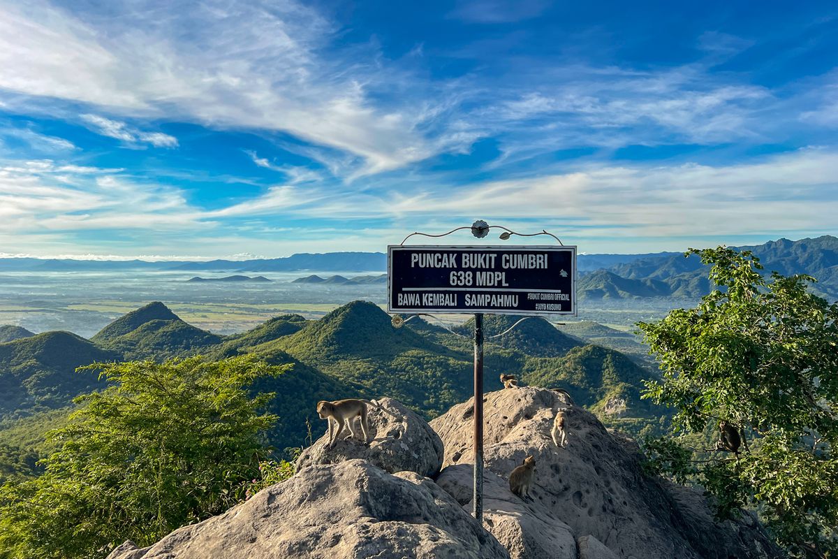 Bukit Cumbri, bukit cumbri, Bukit Cumbri Wonogiri, bukit cumbri ponorogo, Mendaki Bukit Cumbri di Perbatasan Wonogiri-Ponorogo, Awas Monyet Nakal