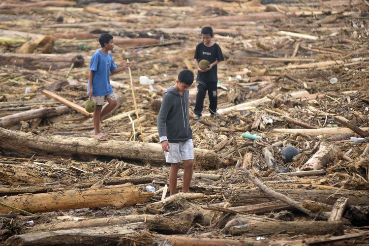 Kota Padang, banjir sumbar, banjir padang, kayu gelondongan, update banjir sumbar, banjir sumatera, update banjir padang, pantai di padang dipenuhi kayi gelondongan, BERITA FOTO: Wajah Pantai di Padang Usai Banjir Menerjang, Dipenuhi Kayu Gelondongan
