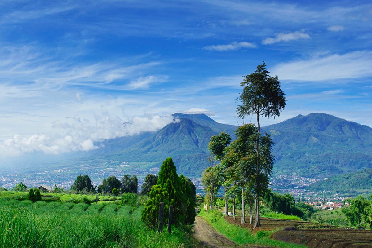 pendakian Gunung Arjuno, Pendakian Gunung Arjuno-Welirang Buka Lagi 7 Mei 2026, Pesan Tiket H-3