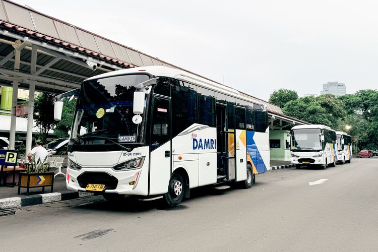 Ada Promo Diskon 50 Persen Tiket DAMRI, Ini Syaratnya
